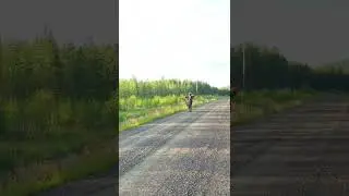 Ktm sx 85 wheelie