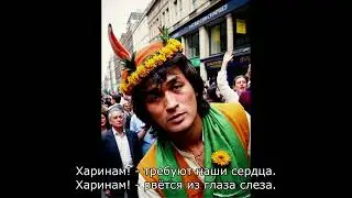 Группа Кино (Udio AI) - Харинам! - 22.10.2024