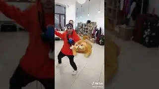 Я могу вот так воу
