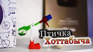Птичка Хоттабыча [Физика от Побединского]