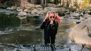 Pretty Pink - Live @ Harz Germany - Deep Woods #200 /Melodic Techno | Progressive House DJ Mix 4K