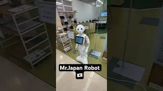 Mr.Japan Robot