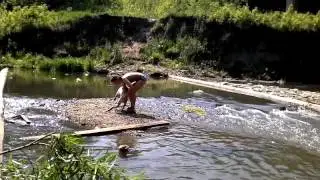 мопс поплыл