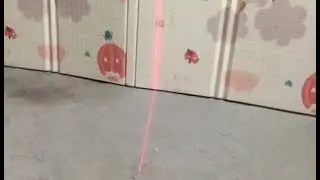 Laser Level Ruler,  Cheap But Works Well Too
