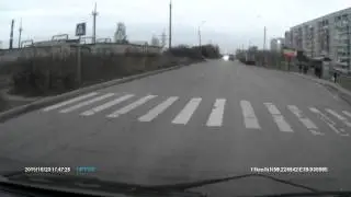 происшествия Вологды корова на дороге хозяева козлы жаль что били не их!