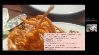General aspects on growing Cordyceps  militaris