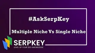 Single Niche or Multiple Niche Which is Better