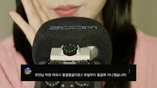 ASMR 34개 단어반복🗣️ 레이어드 없는 버전🤎🤍