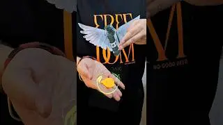 Any Idea How the Chips Popped? 🥔🔫 Magic Trick!