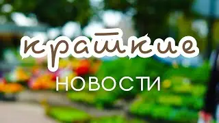 Завтра едем на море, а сегодня коротко о наших новостях