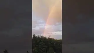 Радуга вечером 20.07.2024 Подмосковье