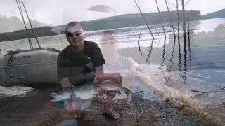 🔊Жулики Аферисты 🔊Ноггано🔊