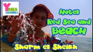 Egypt - Swimming in the Red Sea