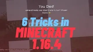 6 Minecraft Tricks/Buggs still works in minecraft 1.16.4