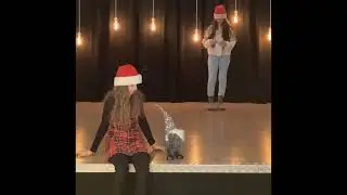 11 Dezember