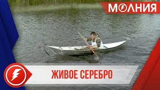 В Ханымее отметили День Рыбака