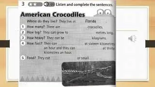 Year 5 English Plus 1 Unit 3 Wild Life (Workbook page 30: Activity 1-4)