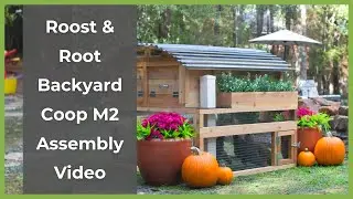 Assembling the Backyard Chicken Coop Model 2 | Roost & Root
