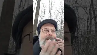 Играем вальс ... на варгане 