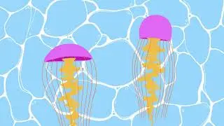 Seed Academic Animated Showreel