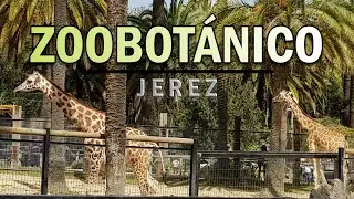 ZOOBOTÁNICO de JEREZ 2021 | ¡Descubre el Zoo!