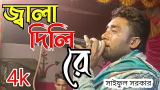 জ্বালা দিলিরে বুকের ll Jala dili re ll Bangla Bissed gan ll saiful sorkar ll new song 2024