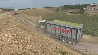 trinciato con grande amucchiata di trattori e claas jaguar 970