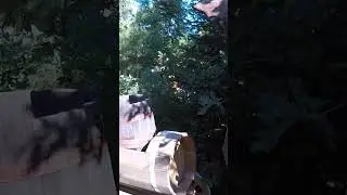 Усадьба Лебедь Турочак Республика Алтай Часть 347 #Shorts