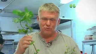 ЯЗЬ ПРОТИВ ЕДЫ  Израиль