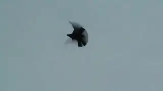 с.г.