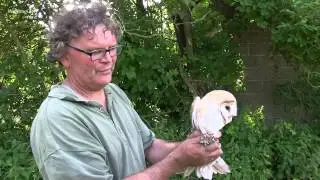 DE VOGELAAR