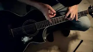 Елочка