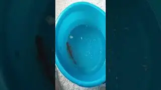 Таня и рыба Чебак.