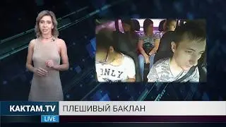 КАКТАМ? Космонавты не дрочат #54