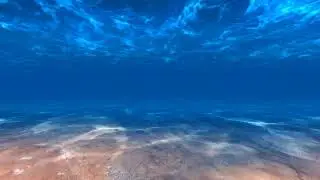 Underwater Sea