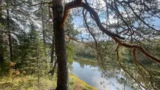 Поход в М-зону | сентябрь