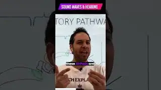 Sound Waves, Music, Hearing & Auditory Pathway