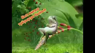 26 июля 2024 г.