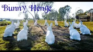 Bunny Henge