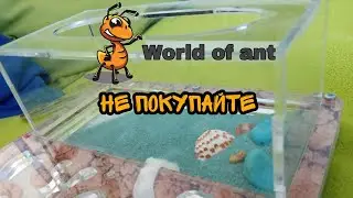 Муравьиный формикарий с World of ant  . Не доверяйте этому сайту . Печальная история