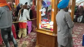 Sultanpur Lodhi | Gurudwara Sri Ber Sahib | Guru Nanak Dev Ji Gurupurab