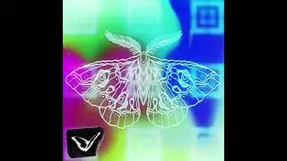 ASTRO - BUTTERFLIES