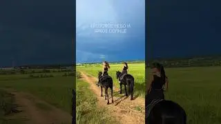 Согласитесь, красиво 💔 #конныйблог #конныйтуризм #лошади #конныепрогулки #equestrian #horse