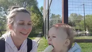 ВДекрете / #ПОКАНЕРОДИЛА - Мы в парке птиц
