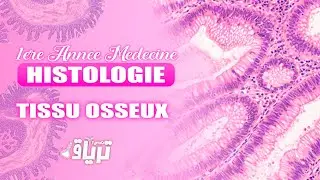 #HISTOLOGIE 1ère année - TMC CAMP : TISSU OSSEUX | By Reem