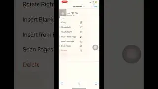 Edit PDF documents directly in iPhone without any app.|UBR|