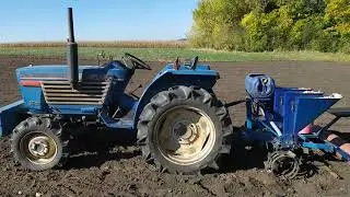 PLANTING GARLIC in full swing! Some of the nuances of this season.
