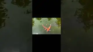 Наша жизнь после переезда из Украины в Краснодар. Парк Галицкого!!!! +79673006008