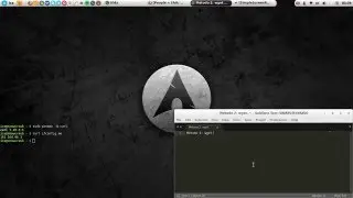 Conocer tu IP pública desde la terminal o TTY en Archlinux