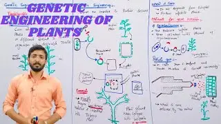 Genetic engineering of plants | Different methods | Biology 12th | Chapter 23 | Lecture 14